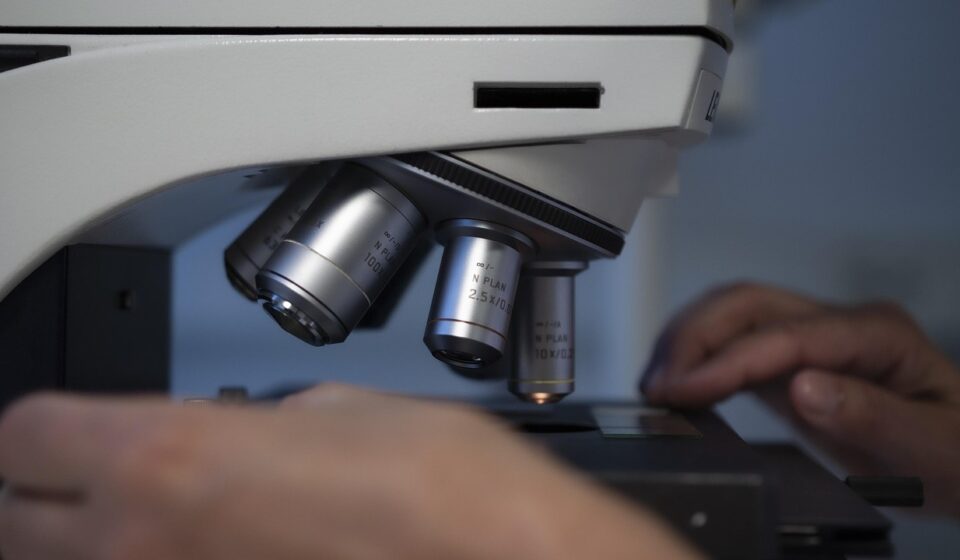 microscope, hands, medical, lab, laboratory, biotechnology, clinic, biochemistry, equipment, lenses, scientific, microbiology, hand, analysis, research, microscope, microscope, microscope, microscope, microscope, lab, lab, laboratory, biotechnology, biotechnology, biotechnology, biotechnology, biochemistry, biochemistry, microbiology, microbiology, microbiology, microbiology