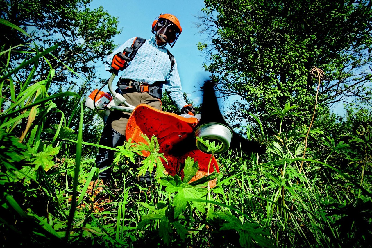 garden, grass cutter, gardening, grass, man, outdoors, person, tools, nature, gardener, green grass
