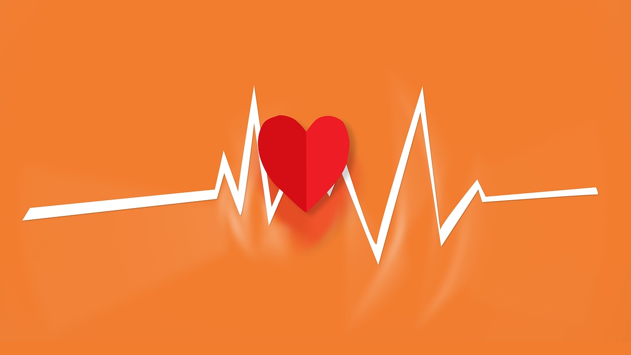 heart, beat, heart beat, heartbeat, emergency, pulse, medical, medicine, care, cardiology, rhythm, symbol, cardiogram, graph, electrocardiogram, design, healthcare, life, health, monitoring, frequency, rate, red, orange, measurement, technology, pressure, cardio, disease, analysis, cardiograph, cardiac, hospital, ecg, orange health, orange heart, orange technology, orange hospital, orange medical, orange life, orange design, orange medicine, orange emergency, orange care, orange healthcare, heart beat, heart beat, heart beat, heart beat, heart beat, heartbeat, heartbeat, emergency, medical, healthcare, healthcare, cardio, hospital, hospital