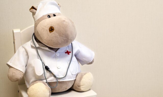 doctor, hippopotamus, dr, oximeter, toy, doctor, doctor, doctor, doctor, doctor, hippopotamus
