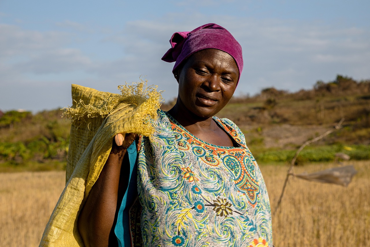 woman, rice field, farmer, africa, harvest, poc, bipoc, sunny