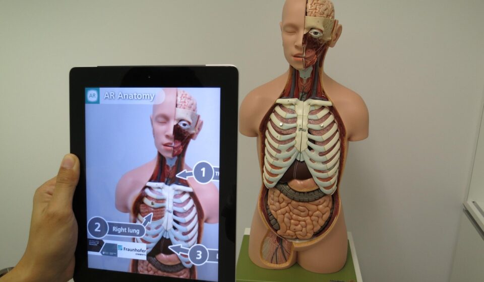 augmented reality, medical, 3d, science, augmented reality, augmented reality, augmented reality, augmented reality, augmented reality