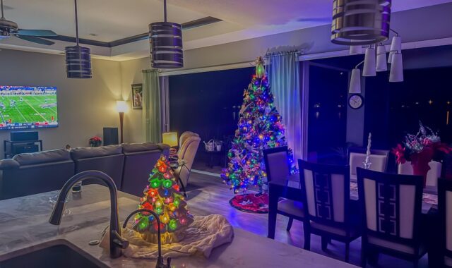 christmas, holiday, decoration, lights, december, ornament, design, seasonal, home
