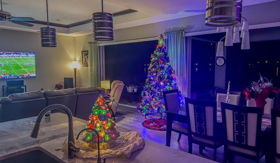 christmas, holiday, decoration, lights, december, ornament, design, seasonal, home