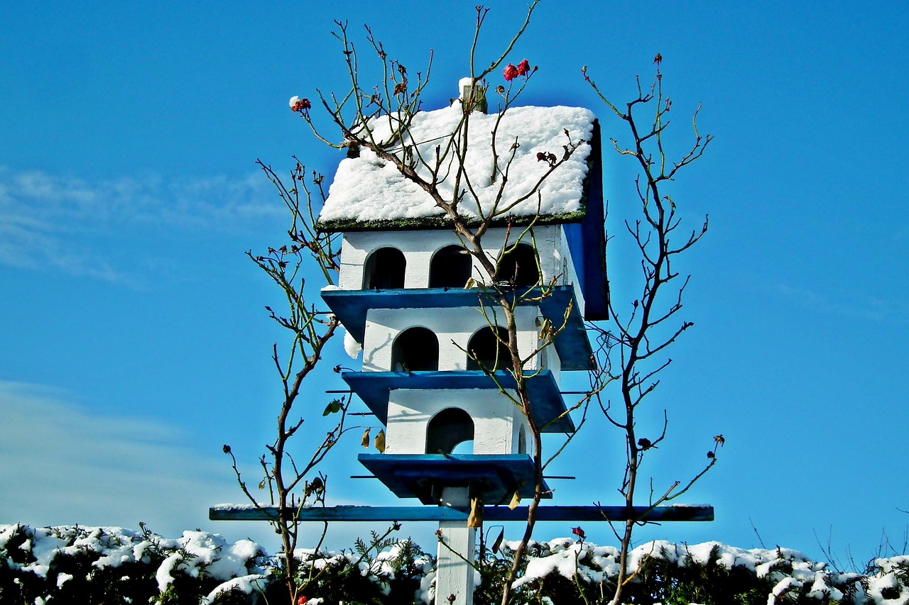 birdhouse, ornament, winter, nature, snow, january, frost, sky