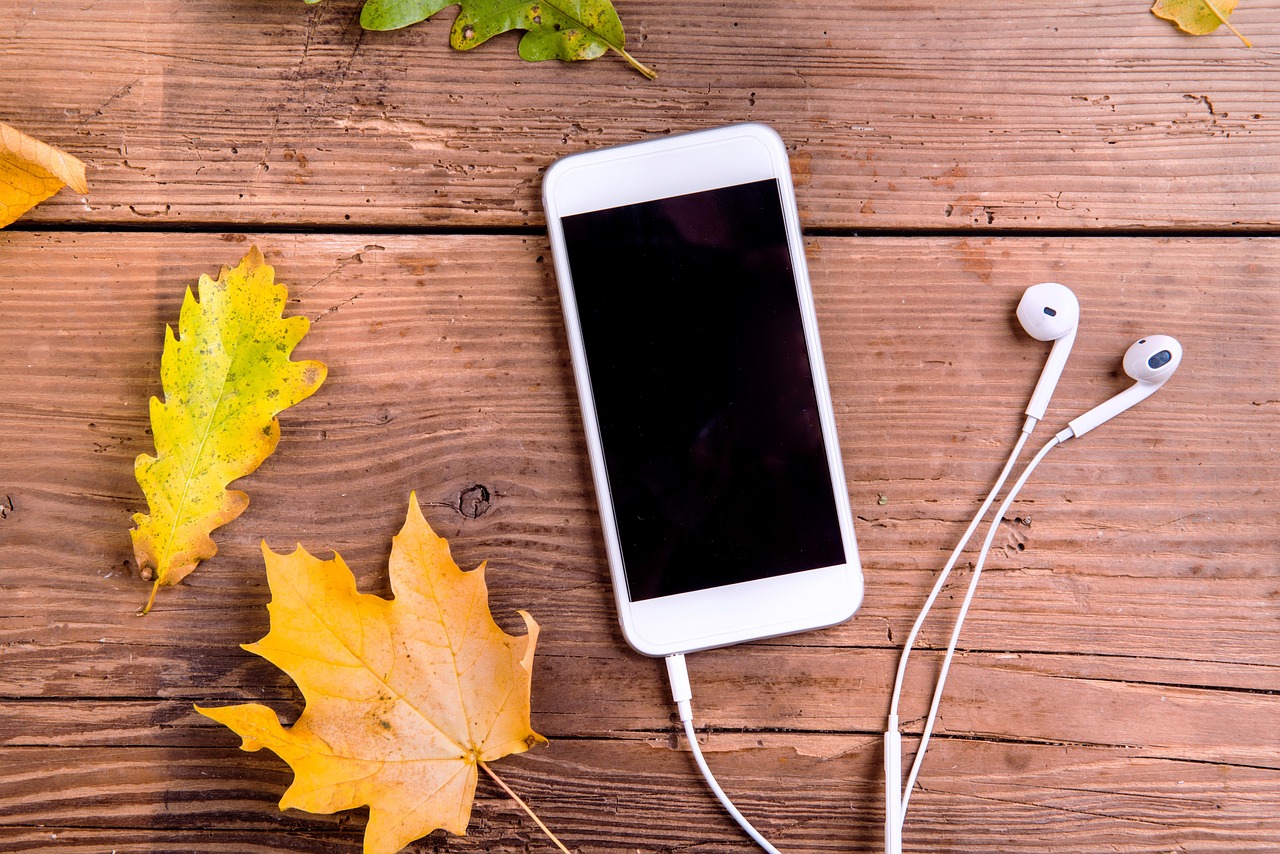 mobile phone, headphones, fall, nature, leaves, autumn, smartphone, cellphone, phone, iphone, screen, headset, digital device, technology