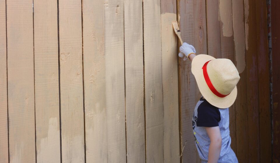 paint, boy, fence, brown painting, brown paint, paint, fence, fence, fence, fence, fence