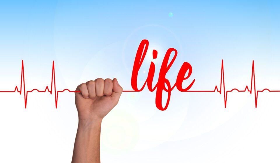 heart, curve, life, thread, silk thread, health, healthy, pulse, frequency, heartbeat, disease, medicine, ill, doctor, hospital, heal, health check, let go, cling, hold tight, frequency, heartbeat, heartbeat, heartbeat, heartbeat, heartbeat, hospital, health check