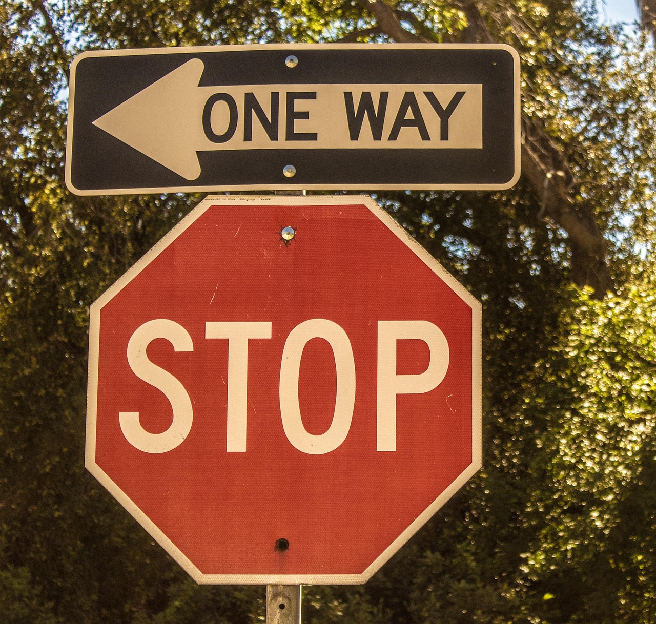 stop, sign, vintage, one way, outside, traffic, law, brown law, brown stop, one way, one way, one way, one way, one way