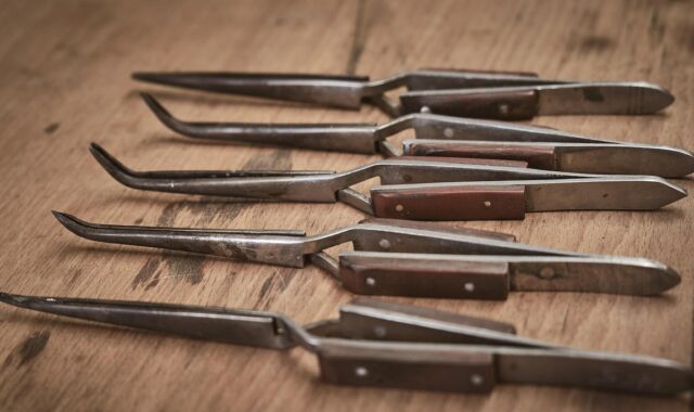 lötzange, pliers, precision, second hand, old, tool, goldsmith, work, equipment, accuracy, processing, workshop, selection, difference, goldsmith, goldsmith, goldsmith, goldsmith, goldsmith