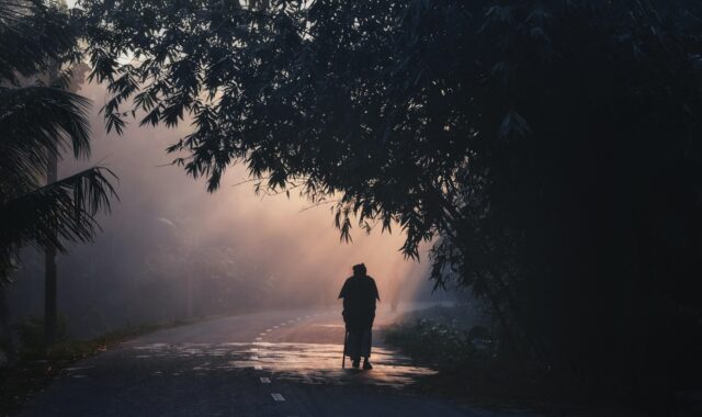 walking, morning, rural, nature, shadow, landscape, forest, fog, morning mist, woods, morning walk, walking, walking, walking, walking, morning, morning, shadow, shadow, shadow, shadow, shadow, fog, morning walk