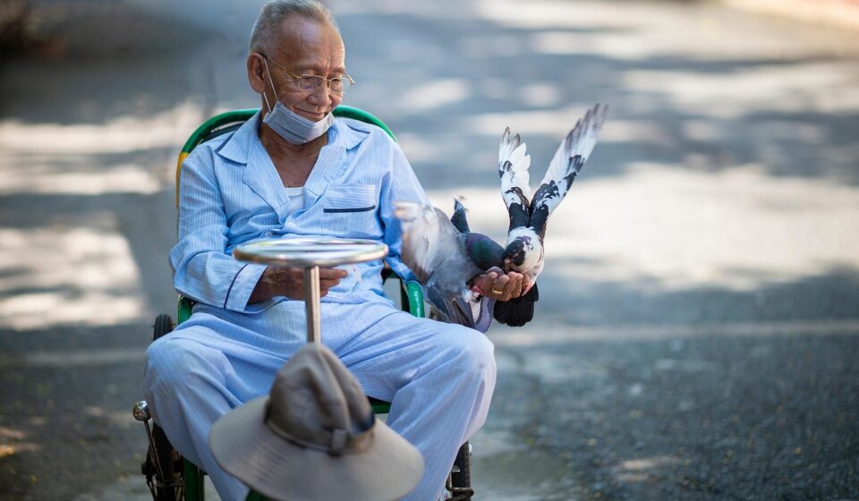 man, feeding, birds, portrait, outdoors, happy, male, park, street, sitting, poverty, village, human, nature, discover, africa, ethnic