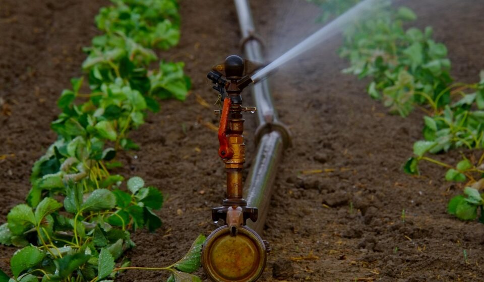 water sprinkler, water jet, artificially, agriculture, irrigation, landscape, dryness, water, bust, field, fields, summer, nature, dry, sprinkler, tube, water supply, artificial irrigation