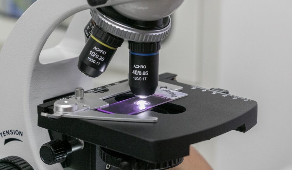 technology, microscope, investigation, microbiology, team, laboratory, analysis, sample, virus, doctor, biochemistry, technical, microscope, microscope, microscope, microbiology, microbiology, microbiology, laboratory, biochemistry, biochemistry, biochemistry, biochemistry, biochemistry