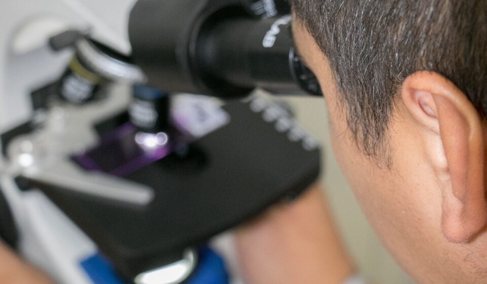 technology, microscope, investigation, microbiology, team, laboratory, analysis, sample, virus, doctor, biochemistry, technical, microscope, microscope, microscope, microscope, microscope, microbiology, laboratory, laboratory, laboratory, laboratory, biochemistry, biochemistry