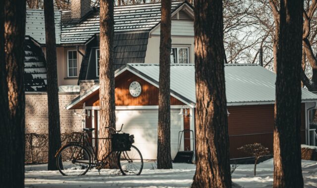 winter, tallinn, houses, snow, nature, estonia, nõmme, street, trees