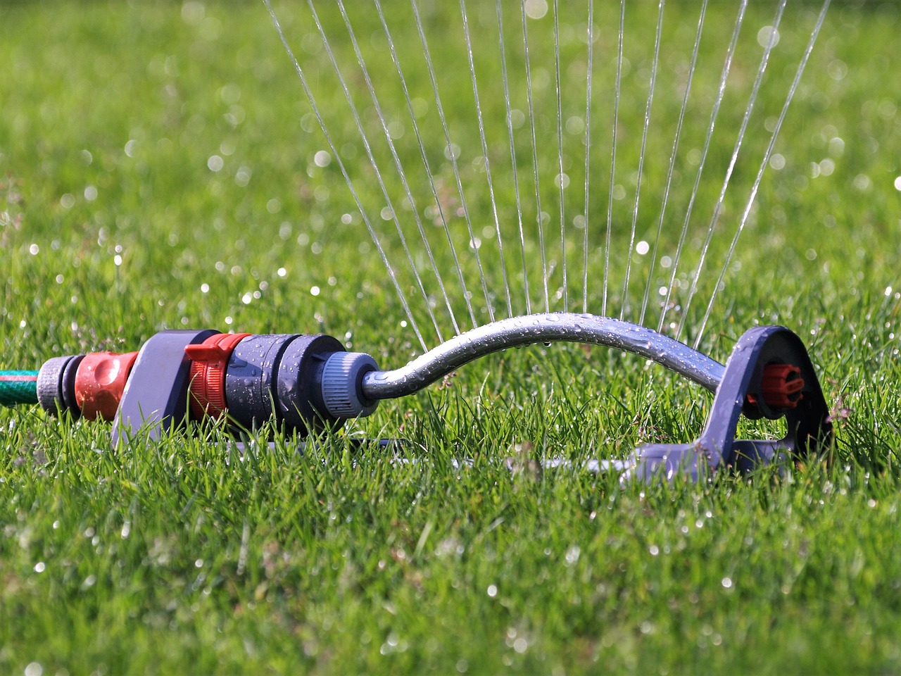 lawn sprinkler, water, hose connection, lawn, nature, garden
